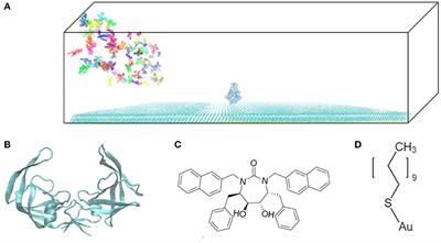 Molecular Mechanics Study of Flow and Surface Influence in Ligand–Protein Association